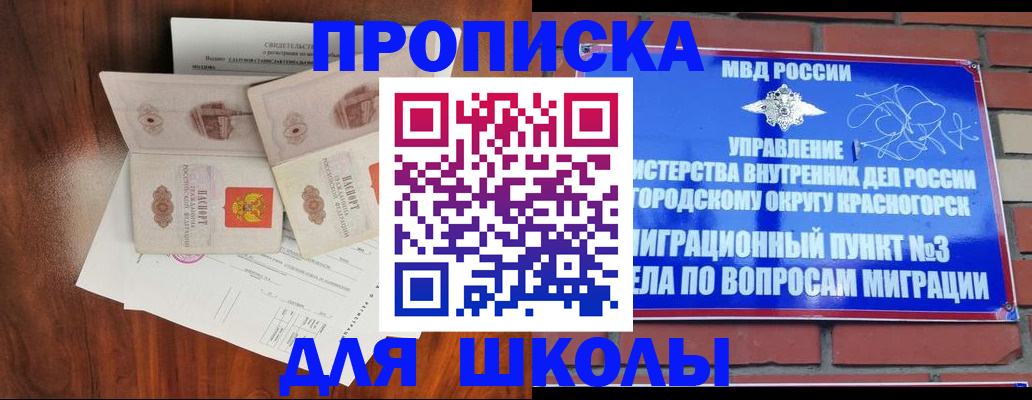 прописка поиск в Кингисеппе